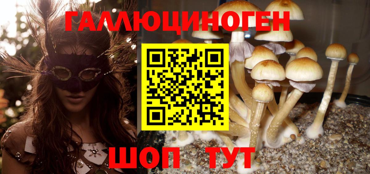 Галлюциногенные грибы GOLDEN TEACHER  Вход с VPN  Ирбит  Галлюциногенные грибы прущие грибы 
