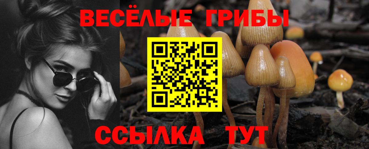Галлюциногенные грибы ЛСД Ирбит